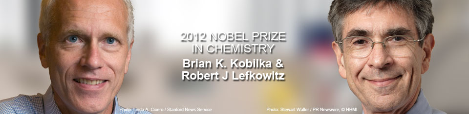 2012诺贝尔化学奖