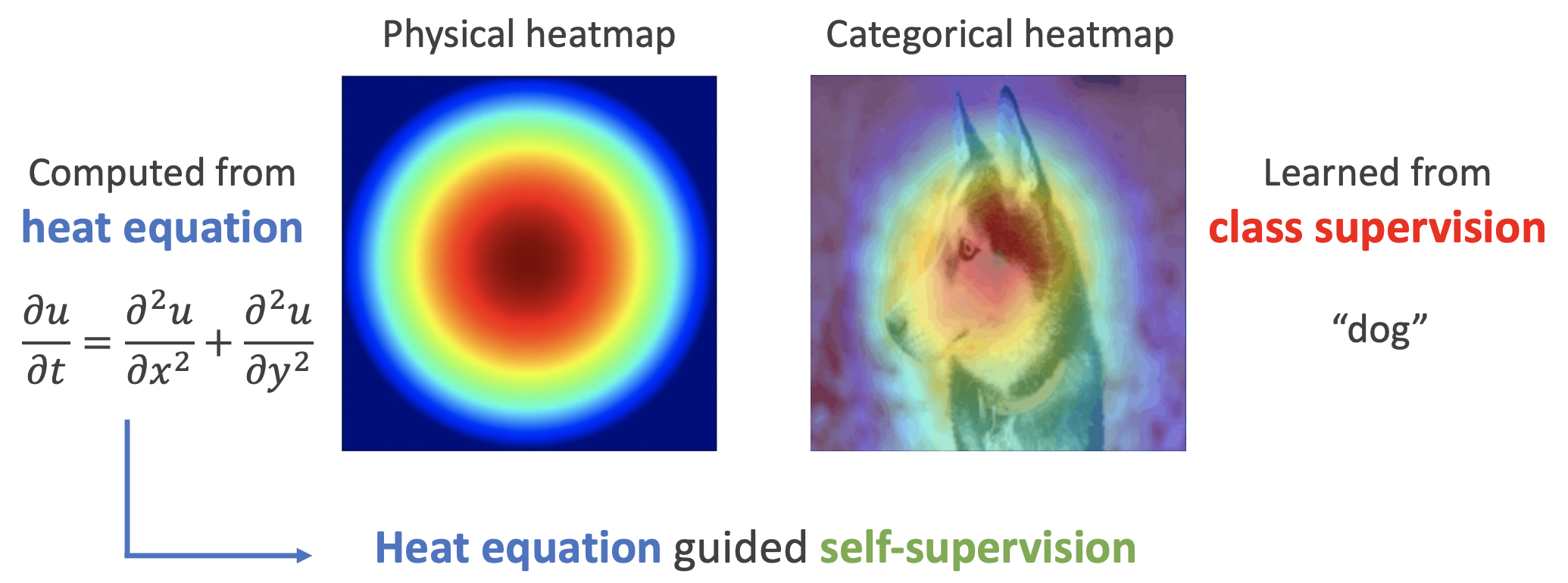 热方程的热力图（左）和视觉模型的热力图（右）